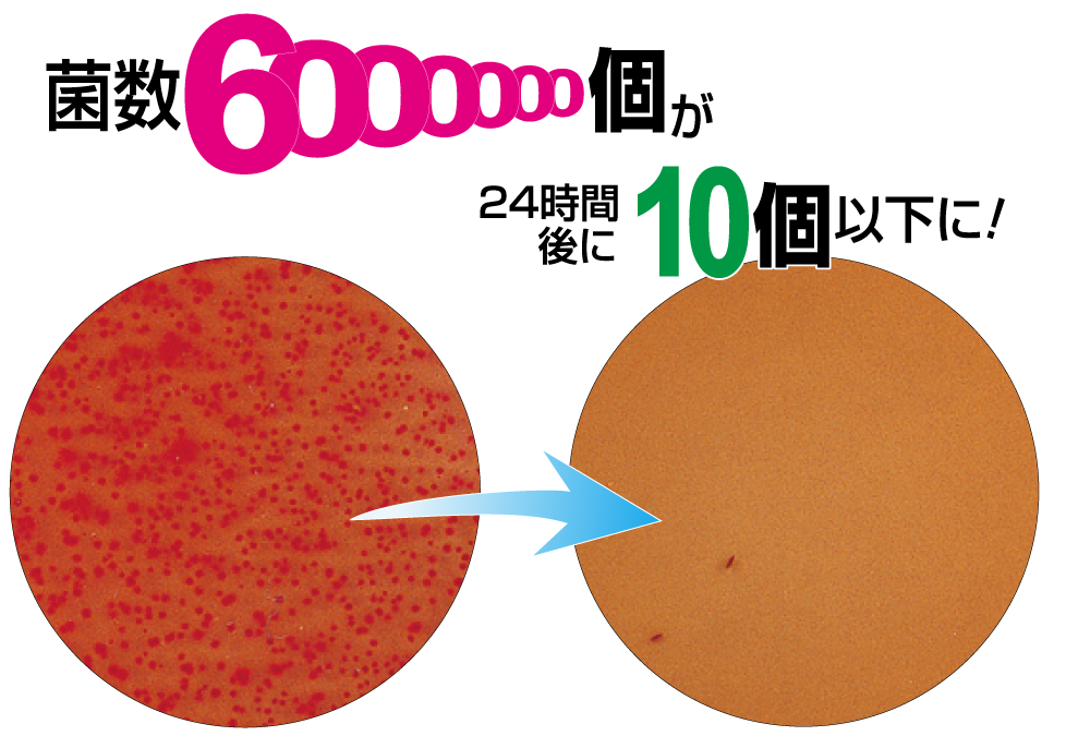抗菌性実験：菌数6,000,000個が24時間後に10個以下に