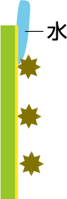 ステップ2：水が親水性塗料に引き寄せられる