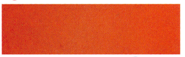 大腸菌（IKD抗菌ステンレス給食皿）