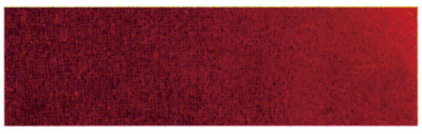 黄色ブドウ球菌（IKD抗菌ステンレス給食皿）